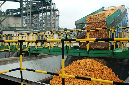 敦煌種業(yè)先鋒良種有限公司酒泉種子加工廠三、四期工程竣工投產(chǎn)